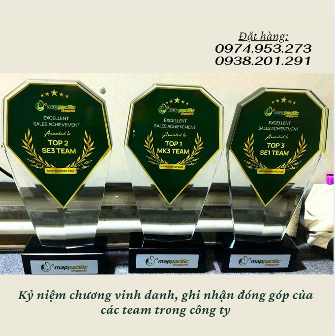 Kỷ niệm chương pha lê thuỷ tinh đẹp kiểu dáng độc đáo Kỷ niệm chương pha lê thuỷ tinh đẹp kiểu dáng độc đáo