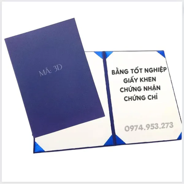 Bìa Decal Xanh dương bạc 3D