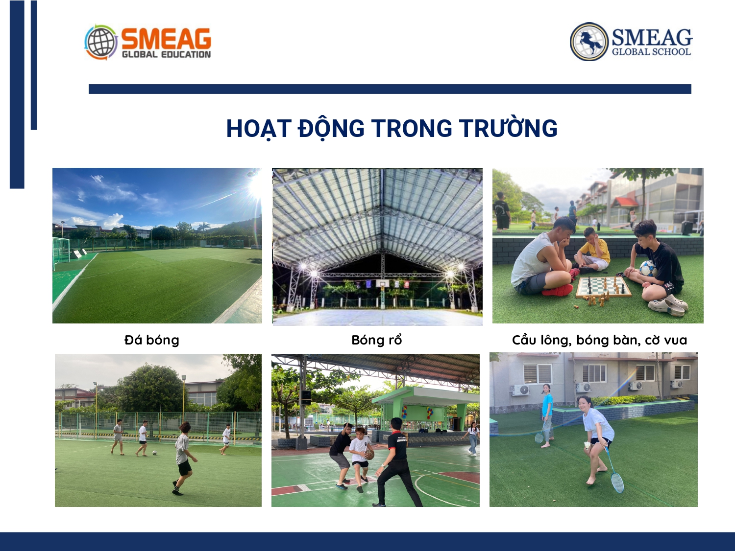 hoạt động trong trường