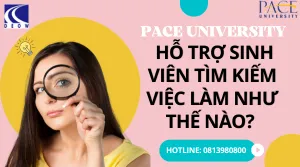 ? Pace University hỗ trợ sinh viên tìm kiếm việc làm như thế nào? ?