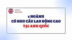 Tham Khảo 6 Ngành Nghề Có Nhu Cầu Cao Tại Anh Quốc & Mức Lương Trung Bình