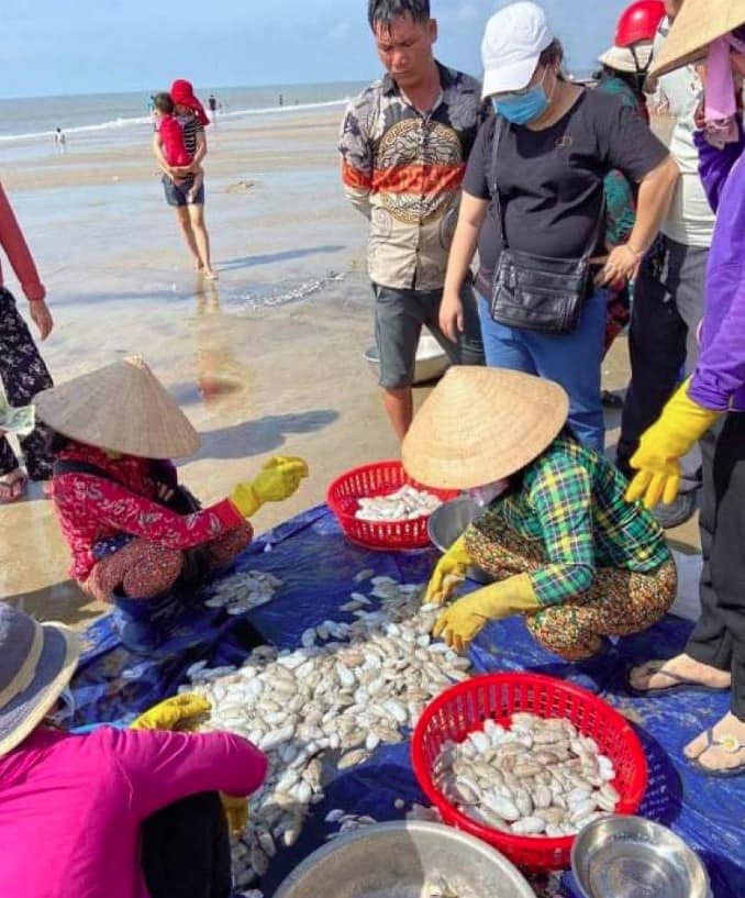 Du khách mua hải sản dưới bãi biển Du khách mua hải sản dưới bãi biển