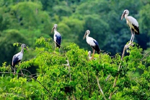 Hồ Tràm siết chặt quản lý động vật hoang dã để bảo vệ hệ sinh thái tự nhiên Hồ Tràm siết chặt quản lý động vật hoang dã để bảo vệ hệ sinh thái tự nhiên