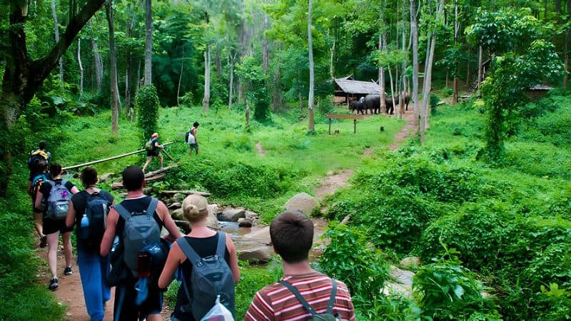 Khám phá rừng nguyên sinh Bình Châu - Phước Bửu Khám phá rừng nguyên sinh Bình Châu - Phước Bửu