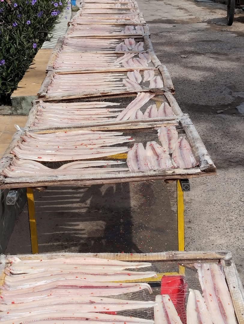 Long Hải vào xuân Long Hải vào xuân