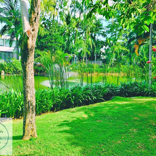 Villa Sanctuary Hồ Tràm - Căn 4+1 phòng ngủ – HV002