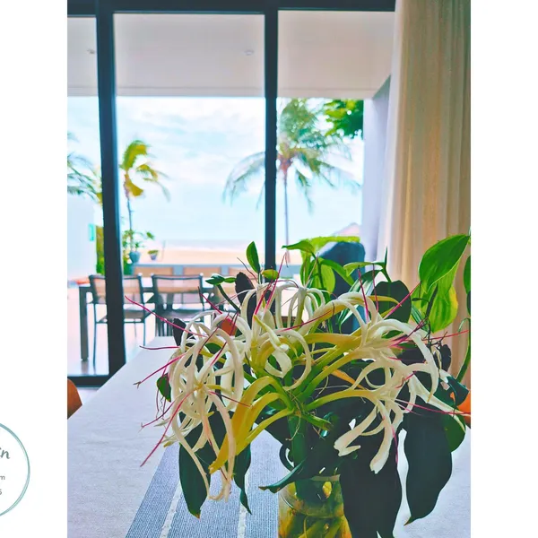 Villa Sanctuary Hồ Tràm - Căn VIP 3+1 phòng ngủ view biển – HV011