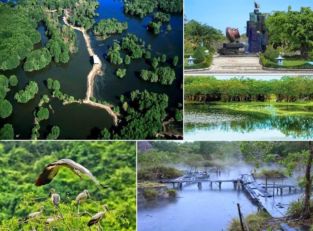 Rừng nguyên sinh tại Bình Châu - Phước Bửu Rừng nguyên sinh tại Bình Châu - Phước Bửu