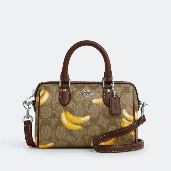 Túi Coach đeo chéo mini