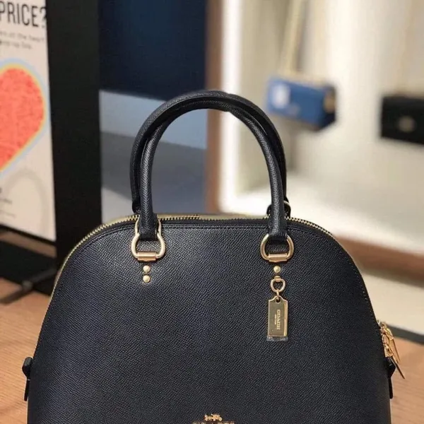 Túi xách nữ Coach màu đen