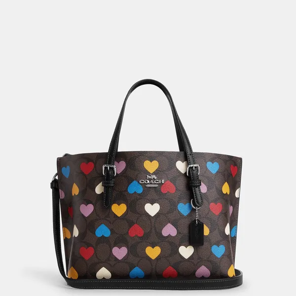 Túi coach USA