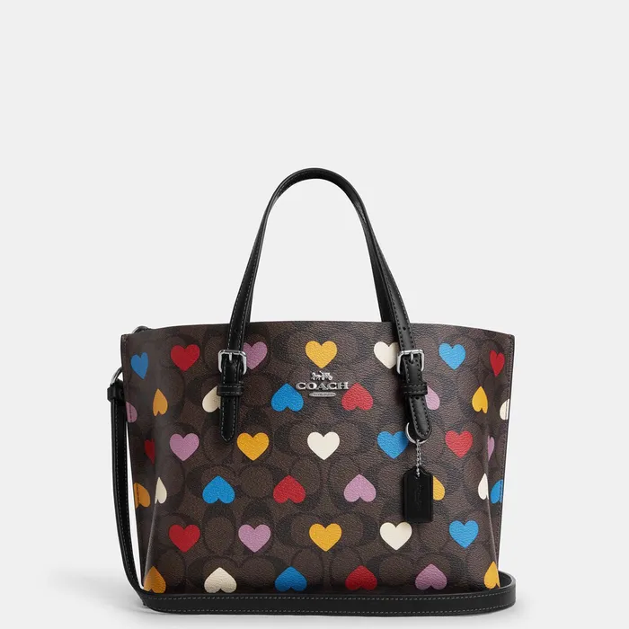 Túi coach USA