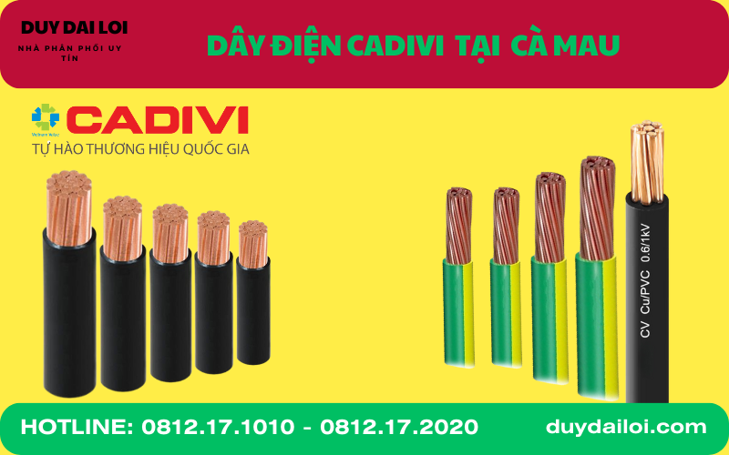 Dây điện cadivi tại Cà Mau Dây điện cadivi tại Cà Mau