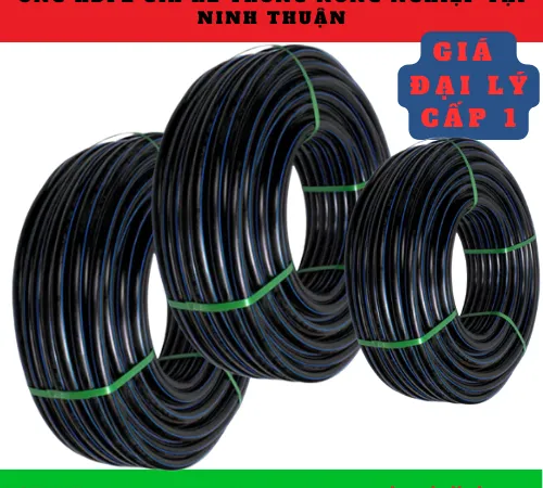ỐNG HDPE TƯỚI NÔNG NGHIỆP Ở NINH THUẬN