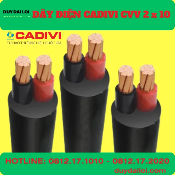 DÂY ĐIỆN CADIVI CVV 2x10