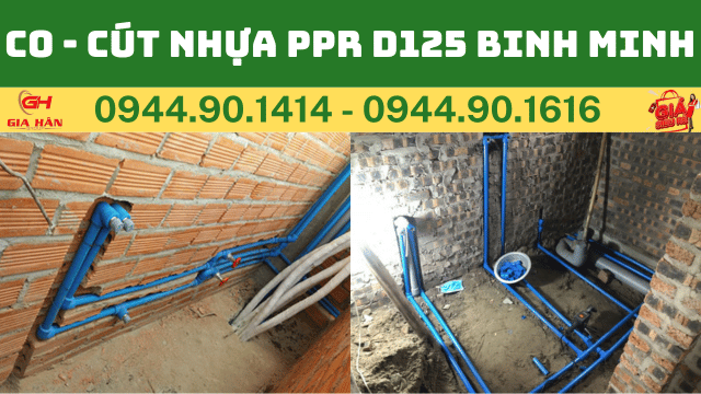 CO - CÚT NHỰA PPR D125 BINH MINH.png