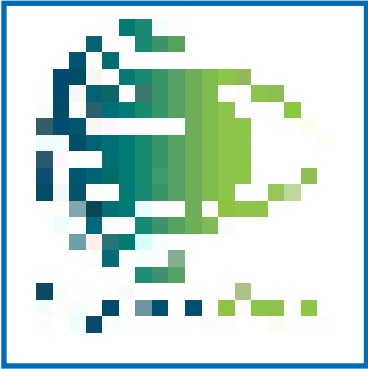 không bị nhấp nháy