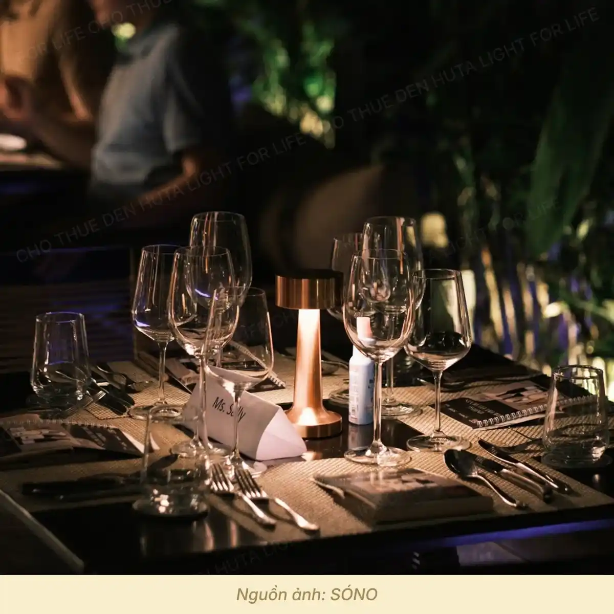 3. HÌNH ẢNH THỰC TẾ ĐÈN LED RESTRU