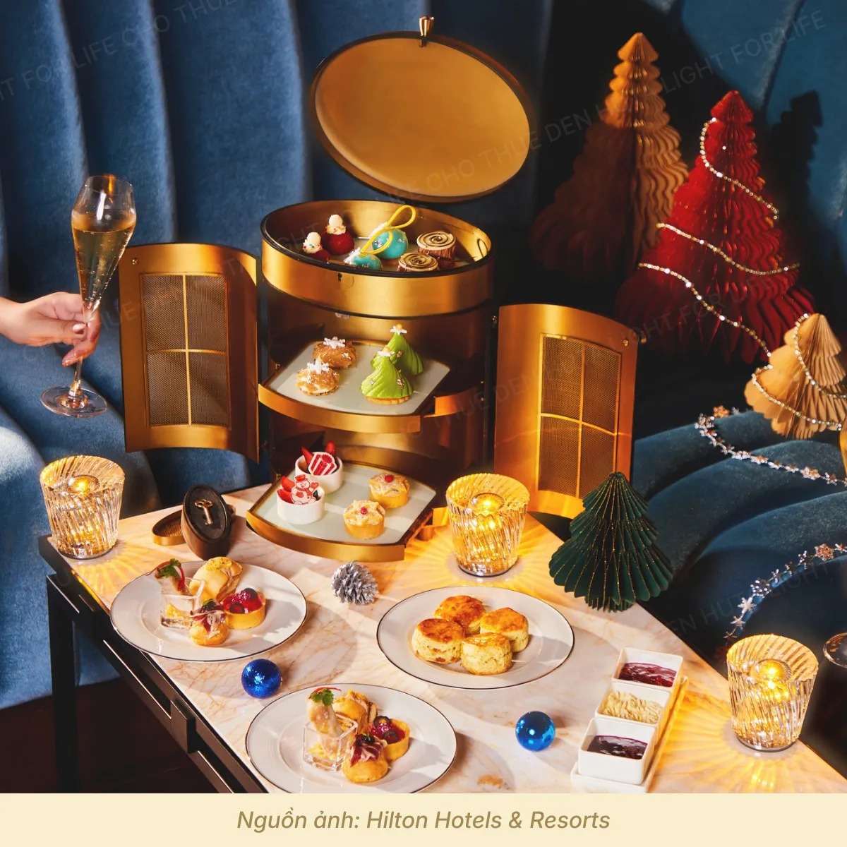 3. HÌNH ẢNH THỰC TẾ ĐÈN LED PLCOC