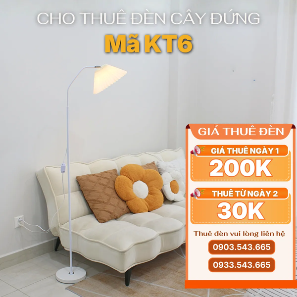 Cho Thuê Đèn Cây Đứng KT6 | Điều Chỉnh Ánh Sáng | Ba Màu Ánh Sáng