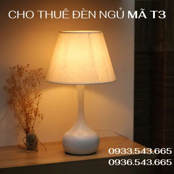Cho Thuê Đèn Ngủ Thân Kim Loại Mã T3