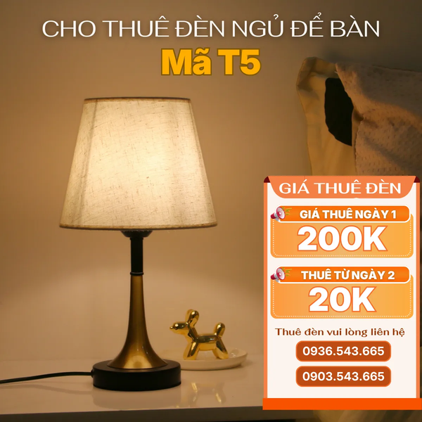 Cho Thuê Đèn Ngủ Thân Kim Loại Mã T5 | Decor Không Gian | Ba Màu Ánh Sáng