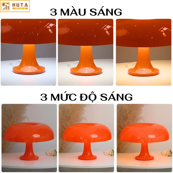 Cho Thuê Đèn Bàn Decor LUMO | Điều Chỉnh Ánh Sáng | Quay Phim, Chụp Ảnh