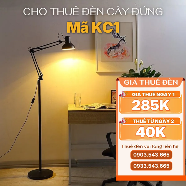 Cho Thuê Đèn Cây Đứng KC1 | Quay Phim, Chụp Ảnh | Ba Màu Ánh Sáng