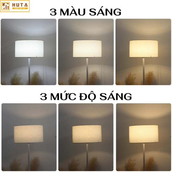 Cho Thuê Đèn Cây Đứng KT4 | Quay Phim, Chụp Ảnh | Điều Chỉnh Ánh Sáng