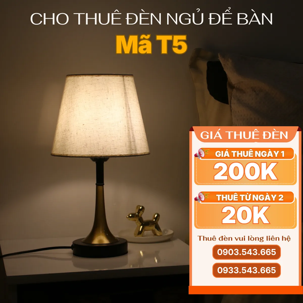 Cho Thuê Đèn Ngủ Thân Kim Loại Mã T5 | Decor Không Gian | Ba Màu Ánh Sáng