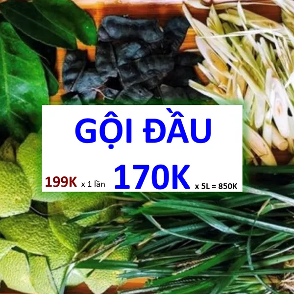 GỘI ĐẦU BỒ KẾT