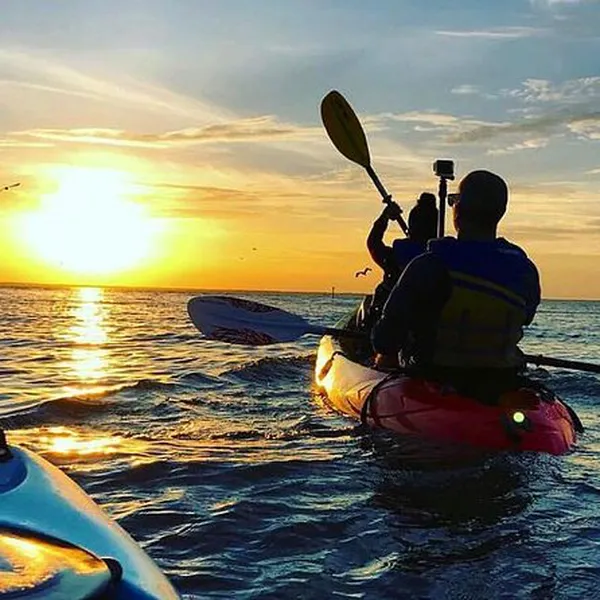 Experience The Sunset And Plankton Bioluminescent Night Kayak 