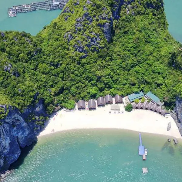 Full Day Hiking Cat Ba National Park