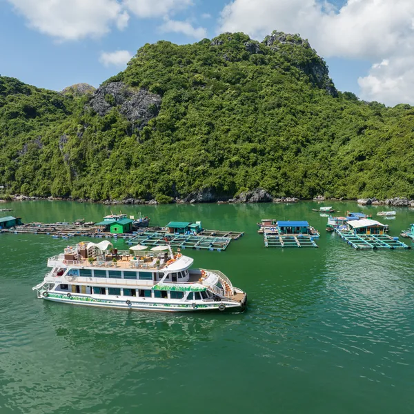 TOUR CÁT BÀ 2N1Đ TỪ HÀ NỘI - NGỦ ĐẢO ( ngày 1 thăm Vịnh Lan Hạ)