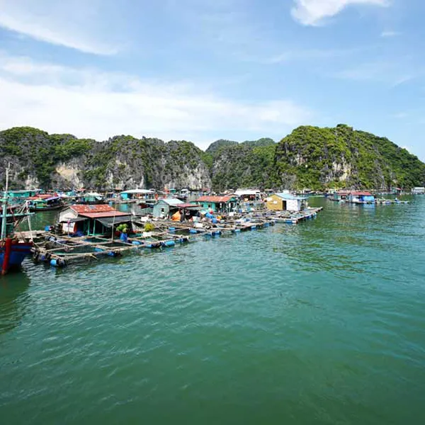 Full Day Hiking Cat Ba National Park