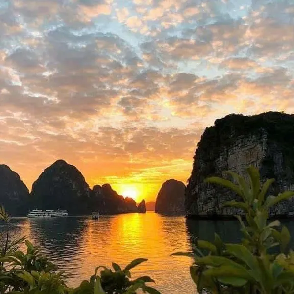 SUNSET LAN HA BAY OF HALF DAY TOUR - CAT BA ISLAND