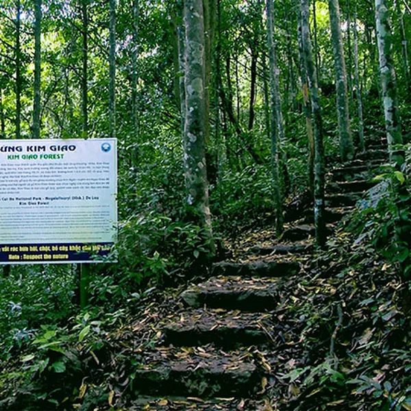 Half-Day Trekking Cat Ba National Park