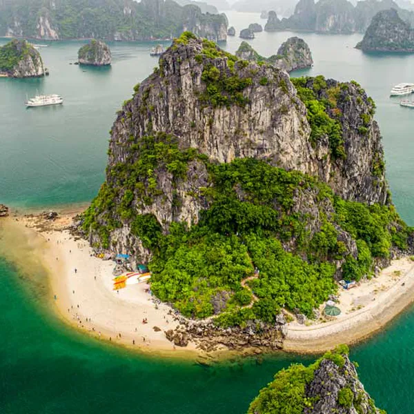 Full Day Hiking Cat Ba National Park