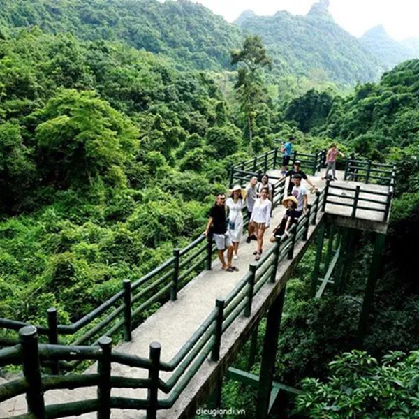  TOUR CÁT BÀ 2N1Đ TỪ HẢI PHÒNG NGỦ ĐẢO,  THĂM VỊNH LAN HẠ, VƯỜN QUỐC GIA CÁT BÀ