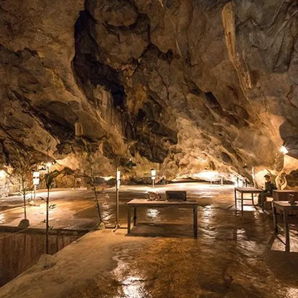 TOUR TREKKING NỬA NGÀY VƯỜN QUỐC GIA CÁT BÀ 