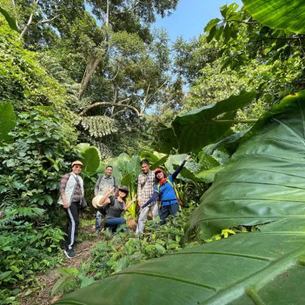 TOUR TREKKING NỬA NGÀY VƯỜN QUỐC GIA CÁT BÀ 