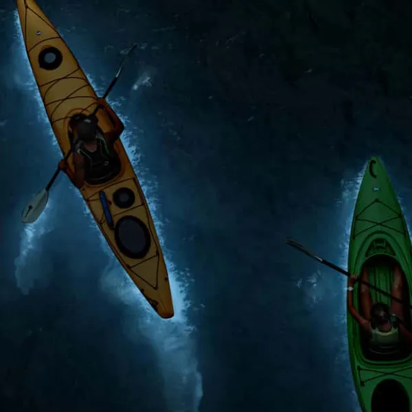Experience The Sunset And Plankton Bioluminescent Night Kayak 