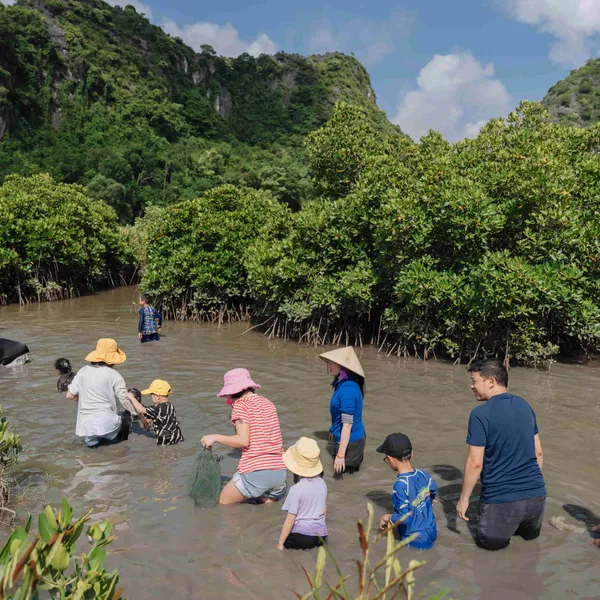 CÁT BÀ 1 NGÀY - KHÁM PHÁ RỪNG NGẬP MẶN  TỪ HÀ NỘI