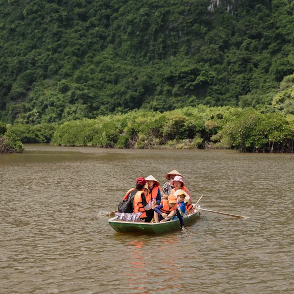 Cat Ba Mangrove Forest Half-Day Tour