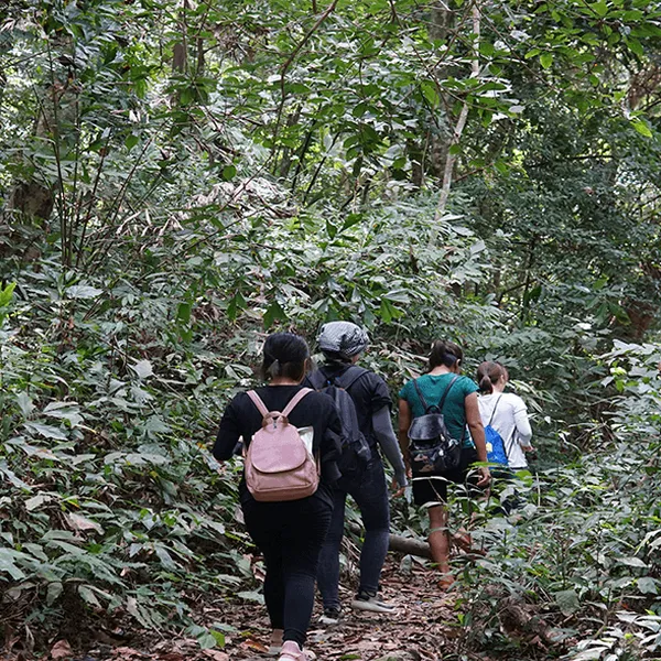 HALF-DAY TREKKING TOUR CAT BA NATIONAL PAR 