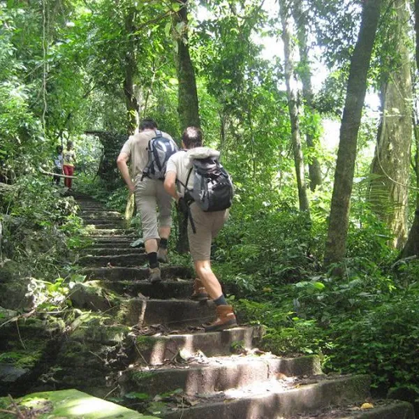 HALF-DAY TREKKING TOUR CAT BA NATIONAL PAR 