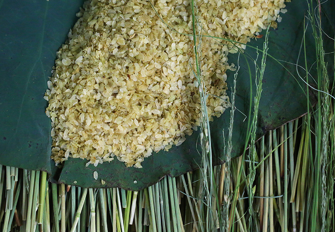 Autumn Green Sticky Rice Autumn Green Sticky Rice