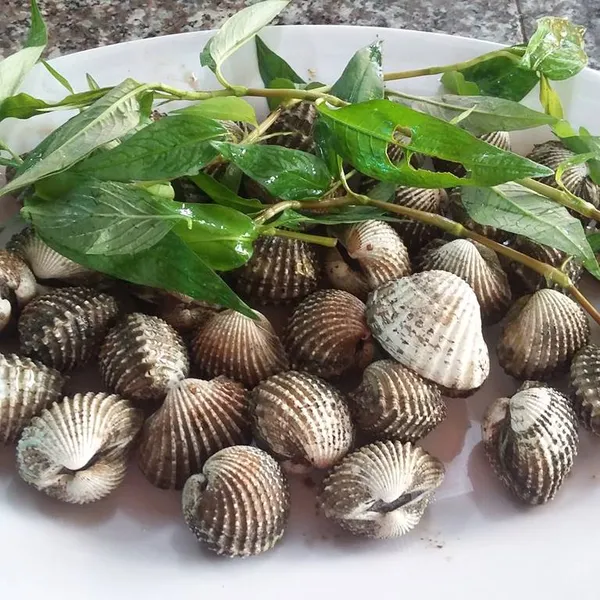 Private Hanoi Seafood Tasting And Walking Tour