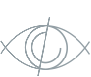 Synology Moments Synology Moments