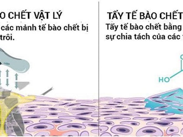 Tẩy tế bào chết hóa học vs vật lý: Nên chọn gì cho làn da của bạn?